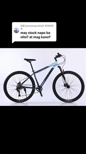 XiX X9 29er Hydraulic MTB: Coming Soon!