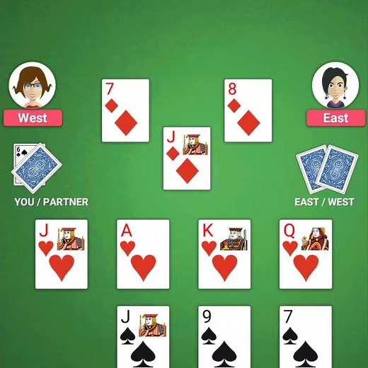 29 card game how play single hand