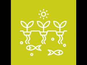 V+ Farm's Aquaponics Vertical Farm in Singapore that is sustainable, modular, efficient.