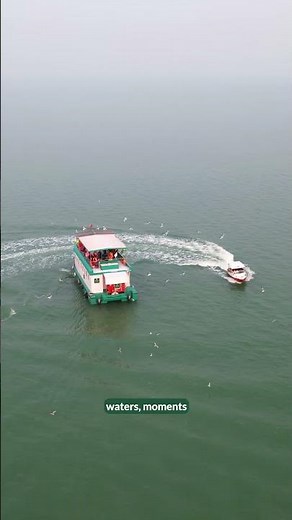 Discover serenity with a stay at Swosti Chilika Resort.