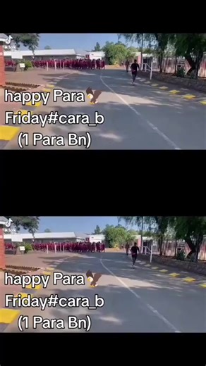 The 1 Parachute Battalion is a highly respected unit within the South African Army, specializing in airborne operations and rapid deployment. They're trained for high-risk missions, including insertions, extractions, and reconnaissance behind enemy lines. The battalion's motto,