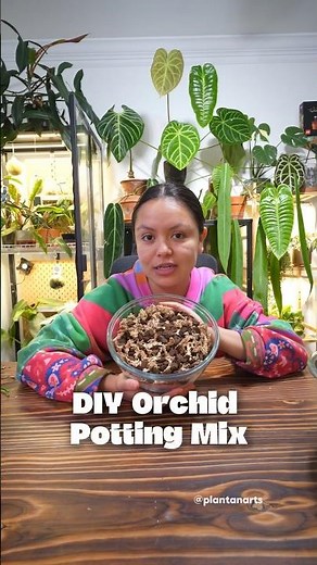 Simple DIY Orchid Potting Mix #orchidworld #orchid #orchidcare #plants
