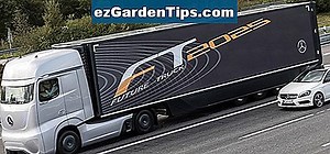 Identificatie van paardekastanjeboom 🌱 Tips Tuinders - Nl.ezGardenTips.com