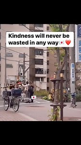 3.3M views · 10K reactions | Japan is a place where beauty can be found in even the simplest things… #humanity #japan #kindness #loveit #ksjapinay | Bee tv | Facebook