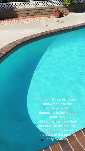 Easy Pool Cleaning Hack with Dawn Dish Soap
