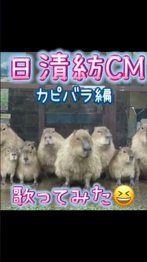 【日清紡CMカピバラ編】歌ってみました😆#日清紡#日清紡CM#歌おうニッシンボー#カピバラ#ハモリ#Shorts#ぽっけ