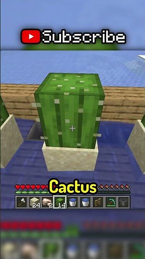 The BEST way to level up in Minecraft