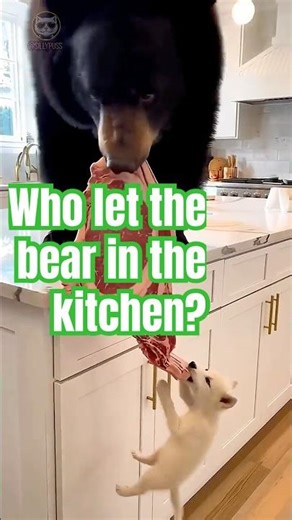 Honey where’s the DOG???🐺🥩🐻 #Shorts #courage