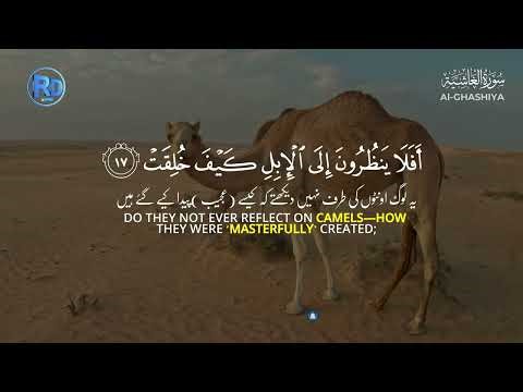 Surah Al-Ghashiyah (سورة الغاشية) | Heart Soothing Quran Recitation with English Translation | G R D