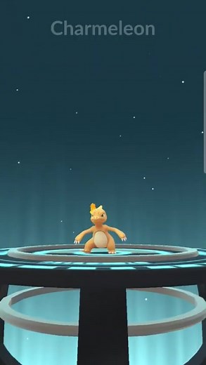 Shiny Charmander Evolution to Charmeleon in Pokemon GO