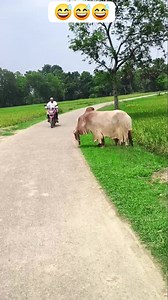 #training #funny #video | Three brothers entertainment