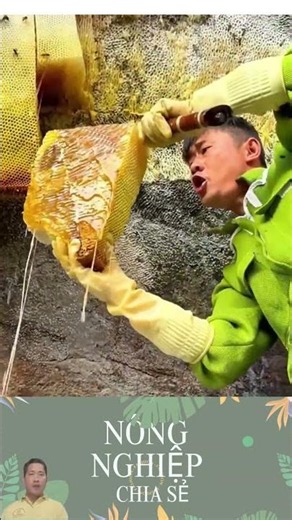 Unbelievable Raw Honey Harvest You Need To See To Believe!