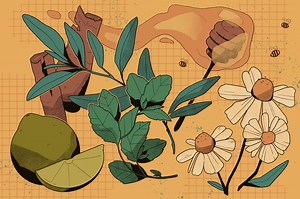 Survival Healing: Traditional Mexican Remedies