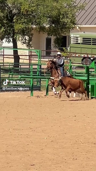 Cesar's Heeling Clinic at Chute Help Photo Shoot
