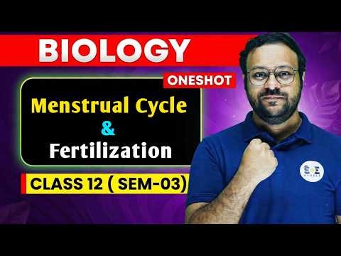 Menstrual Cycle & Fertilization Class 12 Biology | Semester 3 ONESHOT | Full Chapter Revision