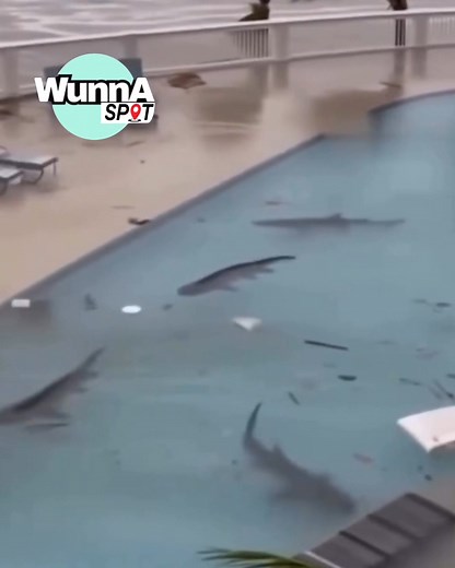 4.7M views · 29K reactions |  l Hurricane Melissa Strengthens to a Powerful Category 4 Storm — Let’s Pray for Jamaica  DONATE :CASHAPP $TIKTOKJA #hurricanemelissa #jamaicatiktok #jamaica #fyp #haitiantiktok | Wunna Spot | Facebook