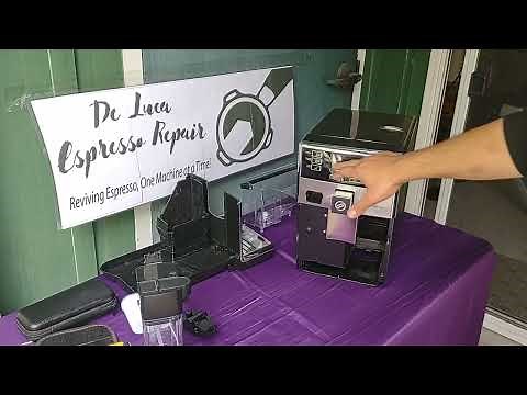 Saeco Pico Baristo Repair: Installing 2-Way Valve, Water Pump Replacement, and Grinder Cleaning