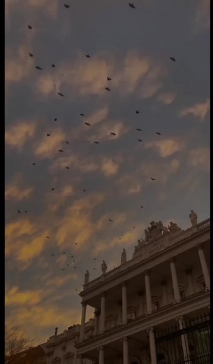 Kali Zulfon Ke: Urdu Lyrics Status