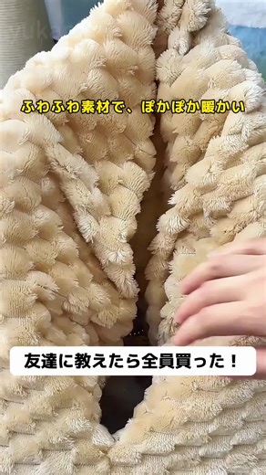 ペット用品の魅力と購入ガイド