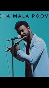 Pacha mala poovu | Flute | VJ AR