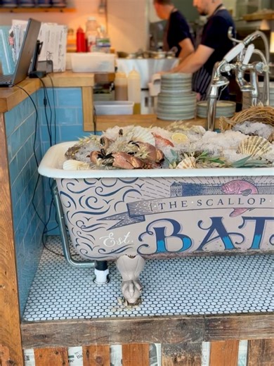 The Scallop Shell on Reels