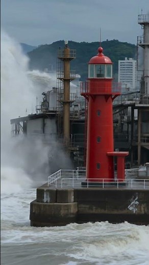 Tsunami Rising: The 2011 Catastrophe in Japan
