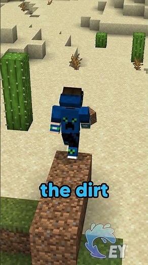 Minecraft, But You Could Only Pick One Color…