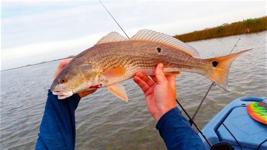 Kayak Fishing for Redfish, Trout and Sheepshead - Catch and Cook Adventure