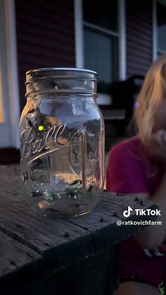 The magic of lightning bugs in the summer. 🤎 #lightningbugs #ratkovichfarm #catchinglightningbugs #masonjar #thesimplelife