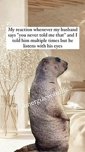 145K views · 1.1K reactions | Sir do you feel like being slapped today because that’s the way this is heading …  Follow @innergizeyourlife for more #marriedlife #wivesbelike #couplecomedy #relationshipmemes #whatthe #whatthefuck | Innergize Your Life | Facebook