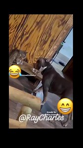 I know you ain't put your hands on me boy. 😂🤣😂 | Ray Charles