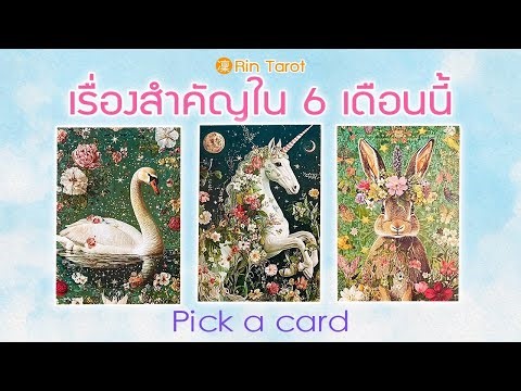 สิ่งสำคัญที่กำลังจะเปลี่ยนชีวิตคุณใน 6 เดือนนี้ | Pick a Card