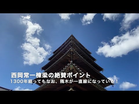 西岡常一著「木に学べ」より、法隆寺の凄さを現地で解説！1300年経ってもなお、色褪せない木の生命力と飛鳥の匠技