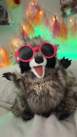 Explore the Fascinating World of Raccoons