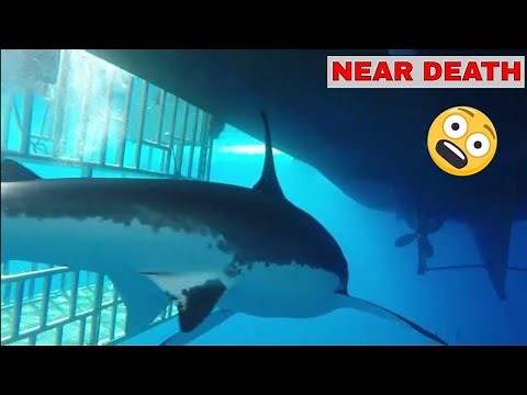 NEAR DEATH EXPERIENCE COMPILATION 2020 CAPTURED by GoPro