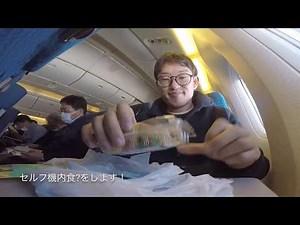 ANA 福岡発羽田行 スターアライアンス塗装B777-200搭乗記！