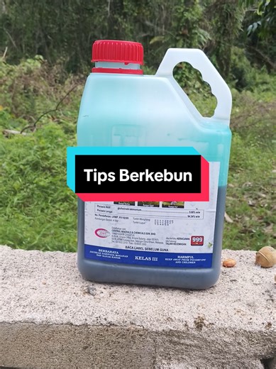 Essential Gardening Tips for Effective Weed Control