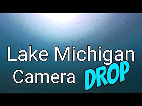 Alewife School Underwater Footage | Lake Michigan Bottom 35ft Ludington