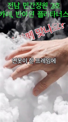 지리산이 보이는 앙름다운 정원카페 반야원 플라타너스