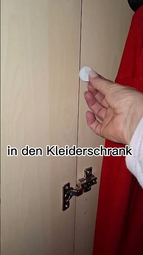 Kleidermotten natürlich bekämpfen