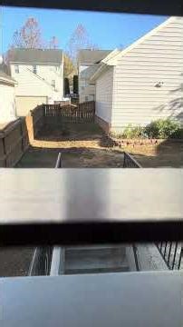 Adorable Mini Goldendoodles Guard the Yard | Funny & Cute Moments