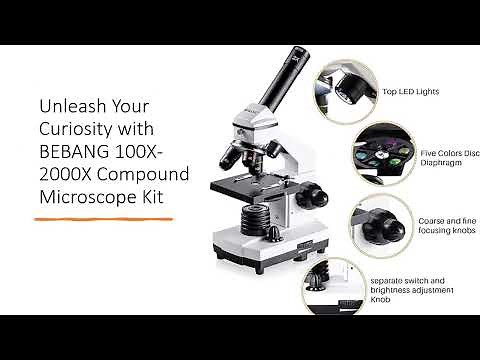 Unleash Your Curiosity with BEBANG 100X-2000X Compound Microscope Kit