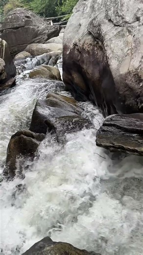 Boone Fork Loop Trail NC Blue Ridge Parkway River Action #Shorts