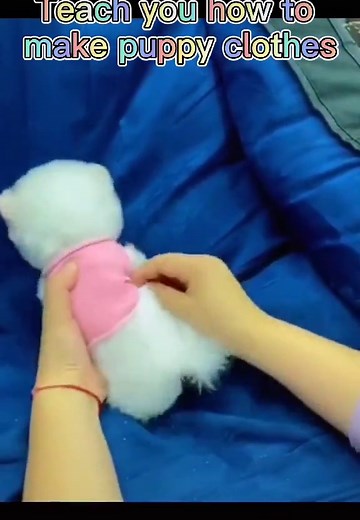 DIY Puppy Clothes Tutorial: Step-by-Step Guide