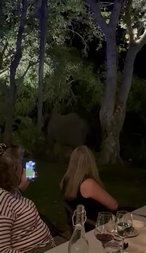 Robin John Mountain on Reels