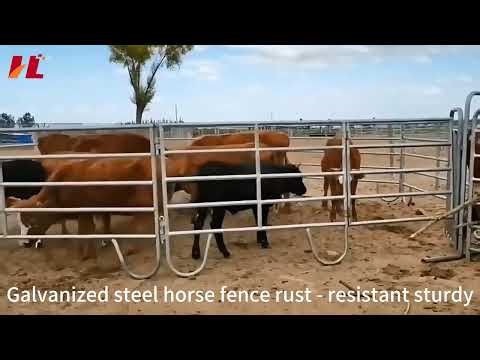 🏇 The Ultimate Equestrian Safety Fence System 🏇