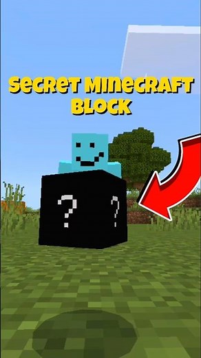The Invisible Block Minecraft Hid From You 🤫