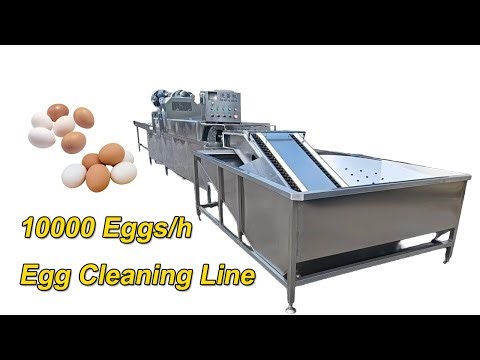 Brush Scrub Egg Washer | Egg Washing Drying Machine | Large Egg Cleaning Line