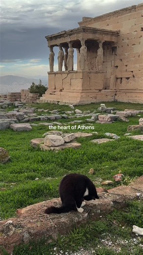 Explore the Heart of Athens