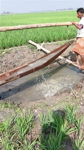 4083.The ongoing water irrigation process of the village
